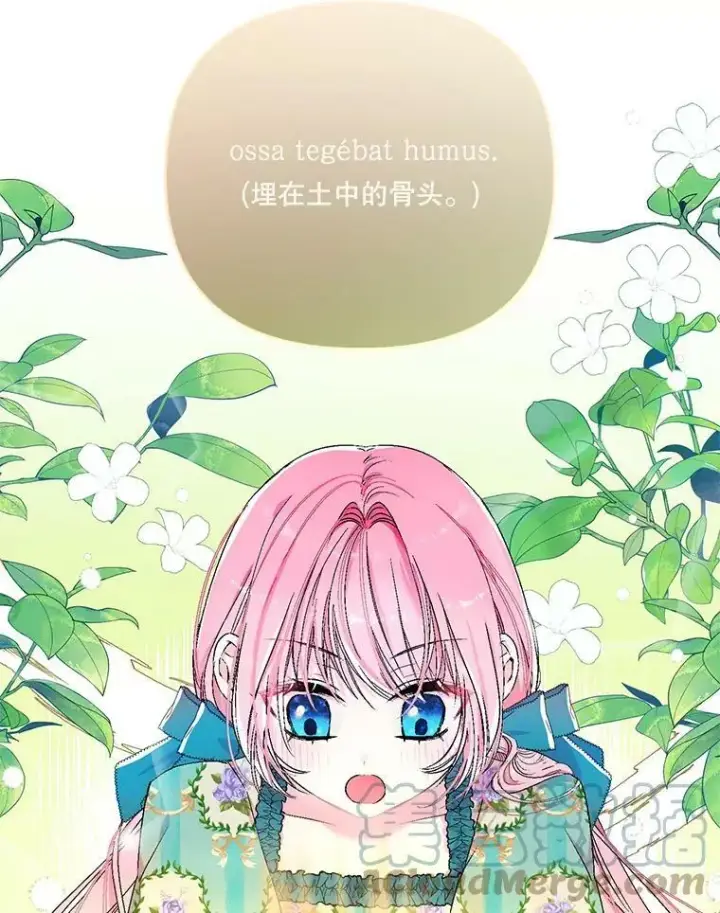 《宝贝皇后殿下》54.风精灵图64