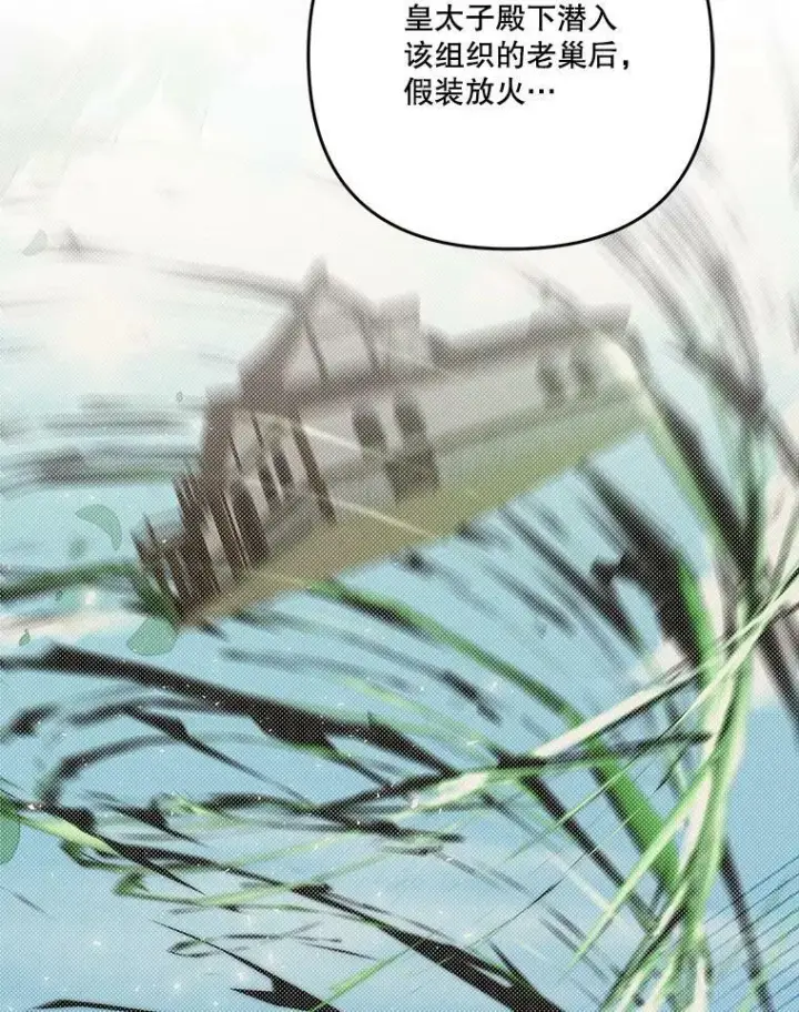 《宝贝皇后殿下》54.风精灵图9