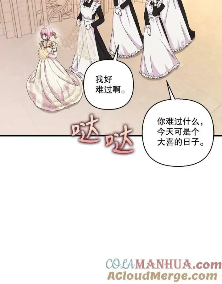 《宝贝皇后殿下》85.婚礼图22