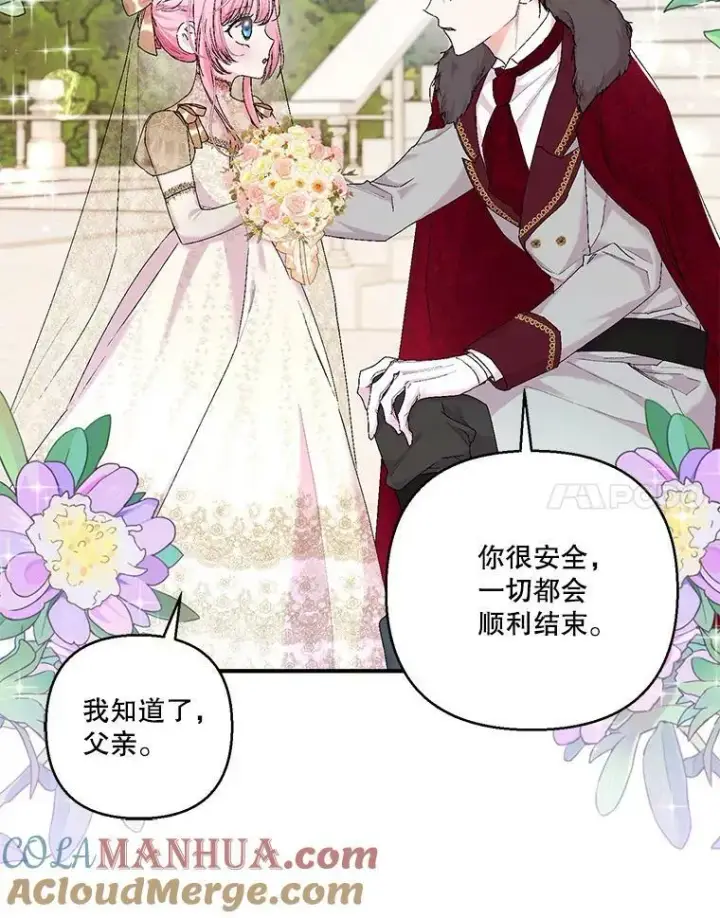 《宝贝皇后殿下》85.婚礼图28