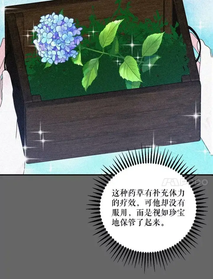 《宝贝皇后殿下》95.开战图50