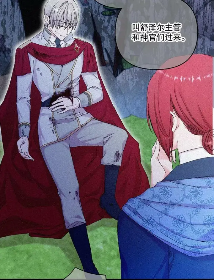 《宝贝皇后殿下》95.开战图54