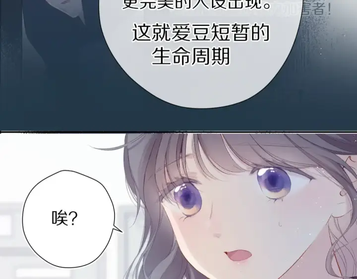 《保护我方大大》第89话 可以靠脸偏偏靠才华图13