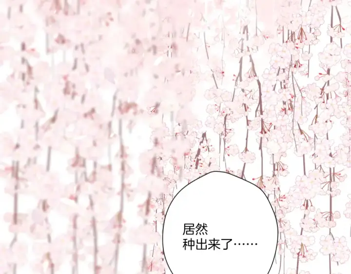 《保护我方大大》第118话 落樱图133