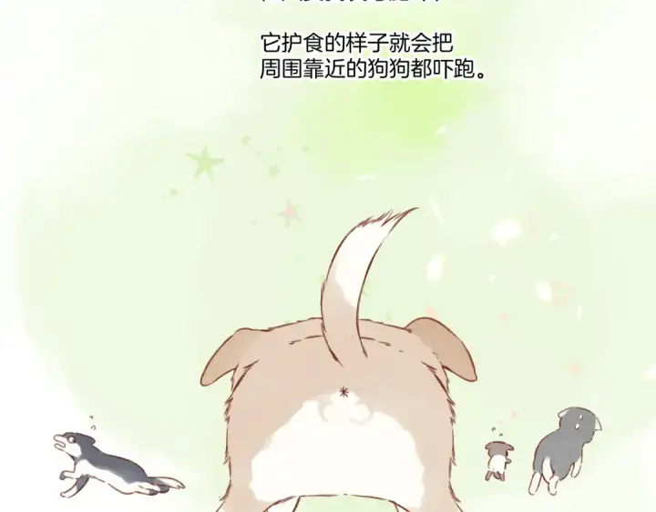 《保护我方大大》第124话 我的小狗图11