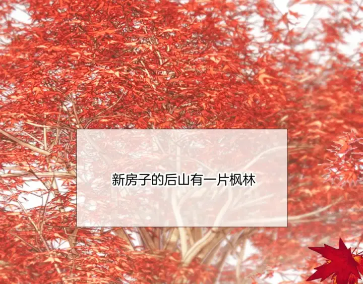 《保护我方大大》枫与樱（番外篇）图81
