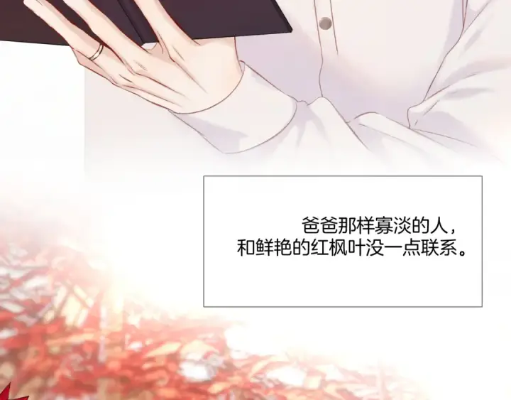 《保护我方大大》枫与樱（番外篇）图90