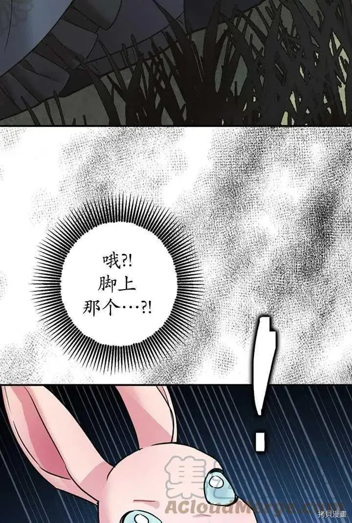 《暴君的精神安定剂》第36话图67
