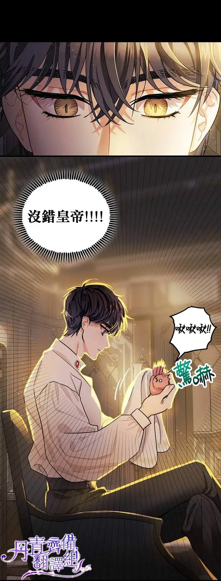 《暴君的精神安定剂》第5话图24