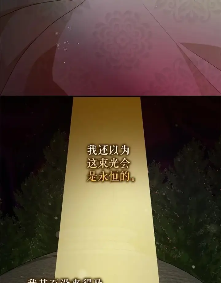 《暴君的精神安定剂》79.魔女的预知图43