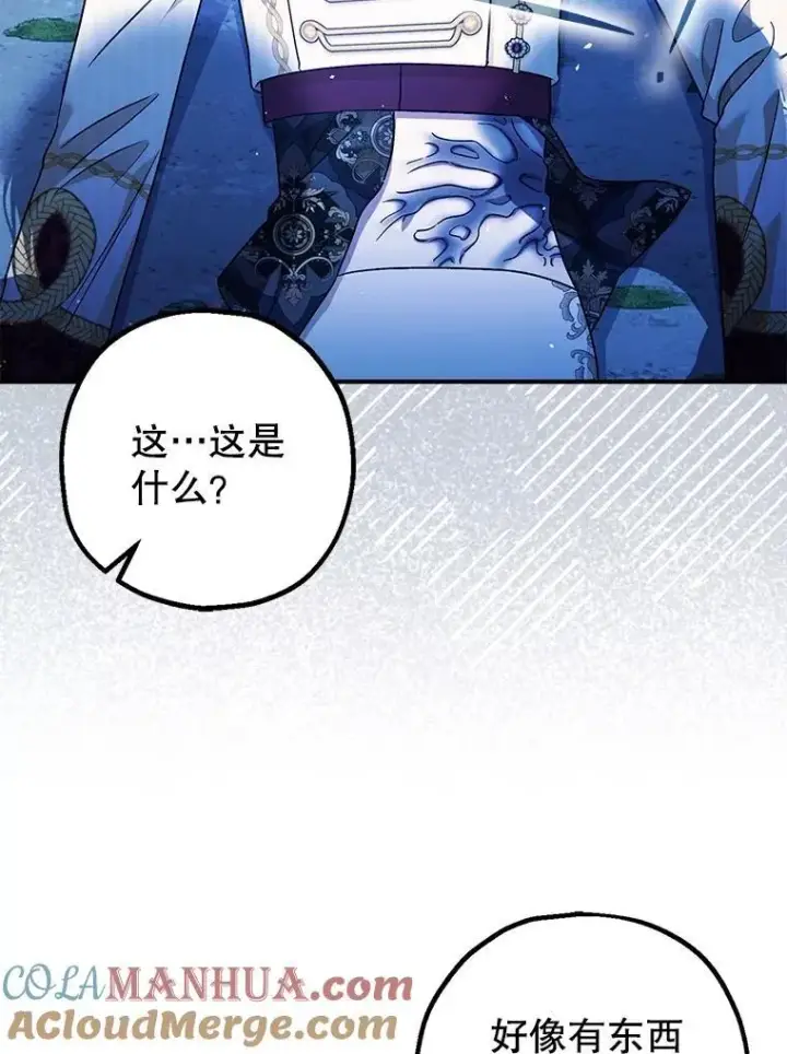 《暴君的精神安定剂》80.暴露身份图21