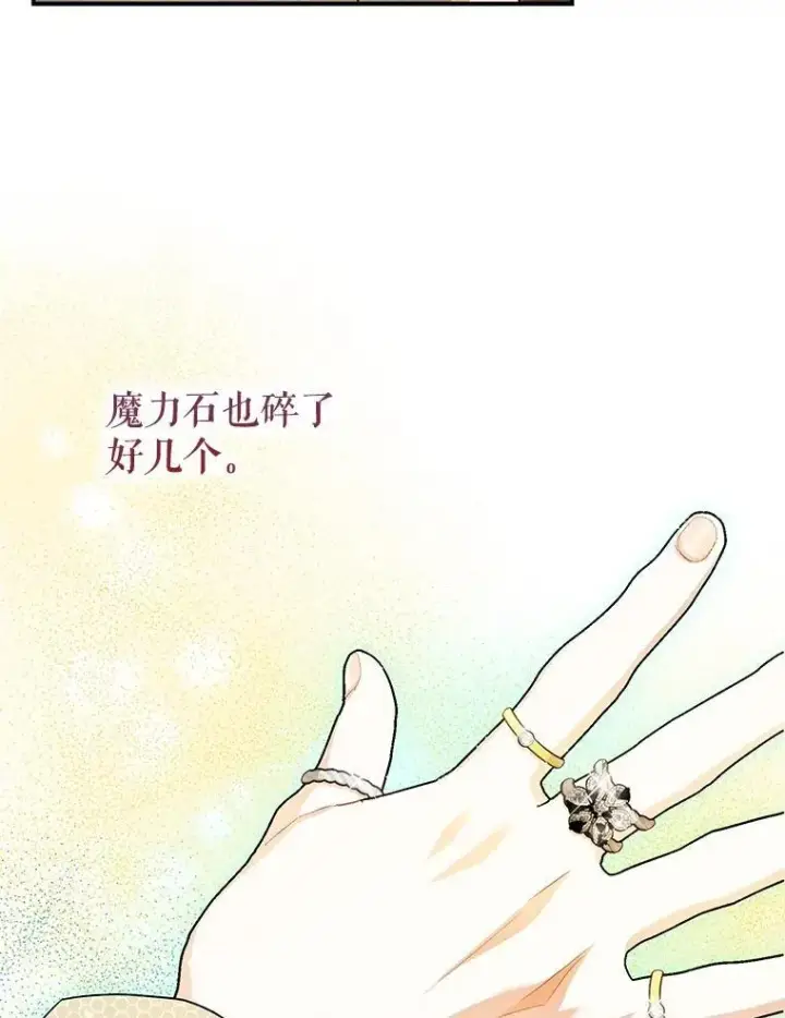 《暴君的精神安定剂》80.暴露身份图74