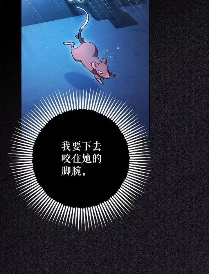 《暴君的精神安定剂》81.四面楚歌图50