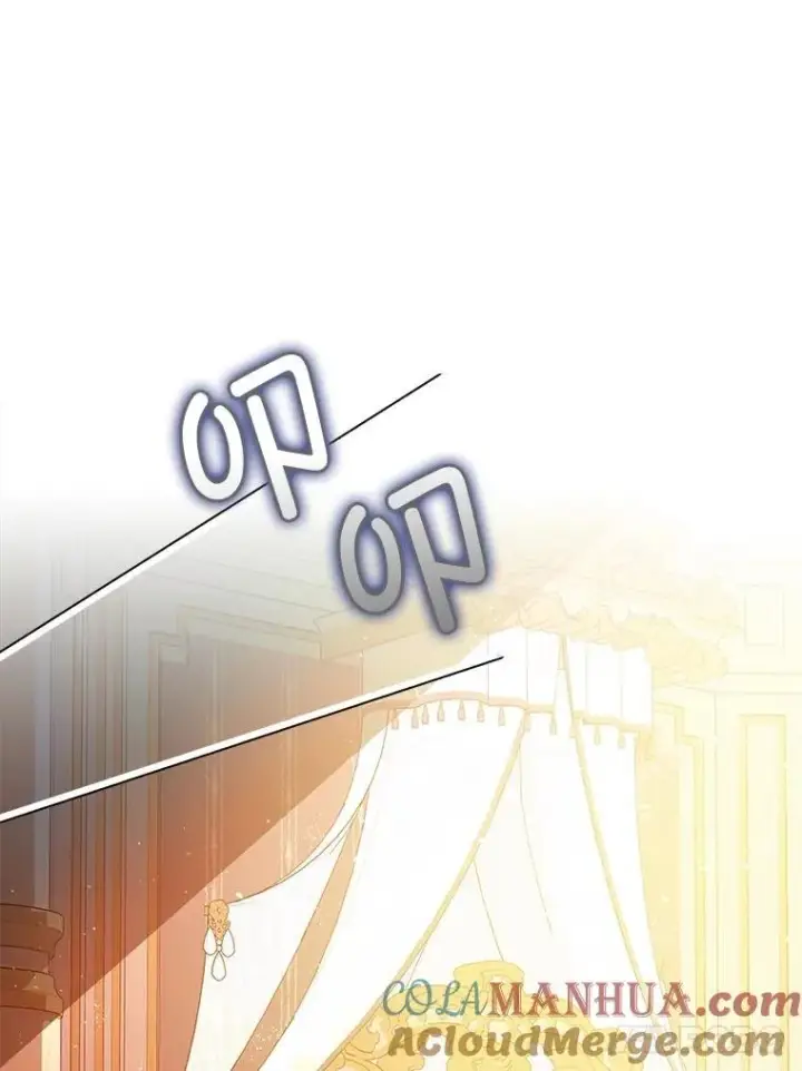 《暴君的精神安定剂》81.四面楚歌图85