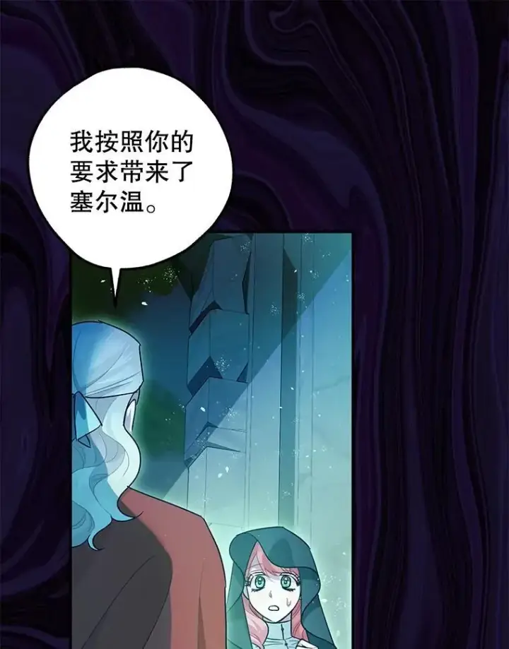 《暴君的精神安定剂》82.灾厄消除图100