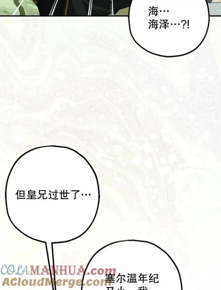 《暴君的精神安定剂》82.灾厄消除图33
