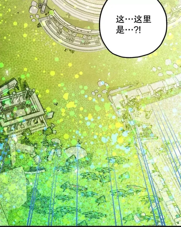 《暴君的精神安定剂》85.灾难缘起图20