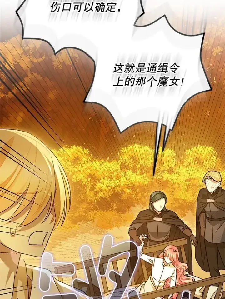 《暴君的精神安定剂》87.被捕图59
