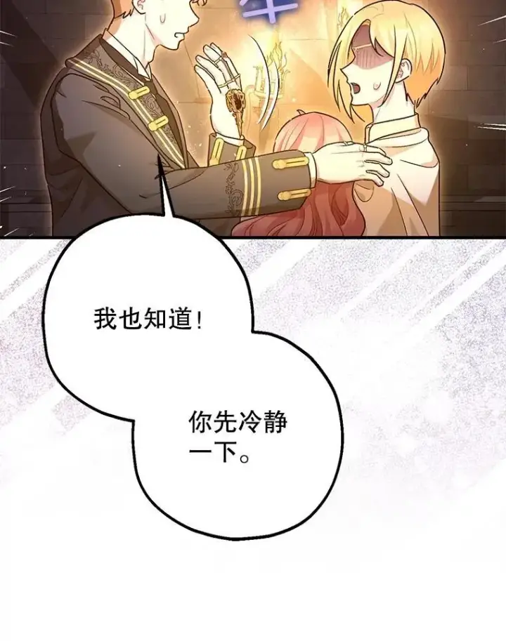 《暴君的精神安定剂》89.重重难关图100