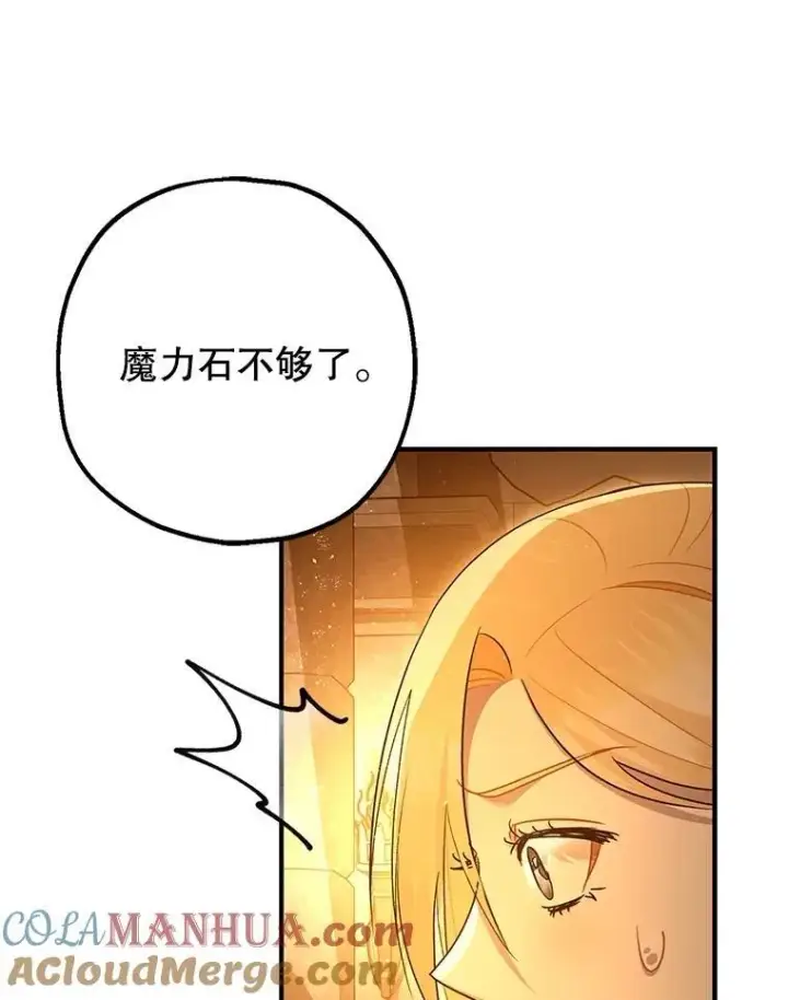 《暴君的精神安定剂》89.重重难关图101