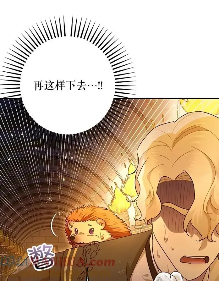 《暴君的精神安定剂》89.重重难关图13
