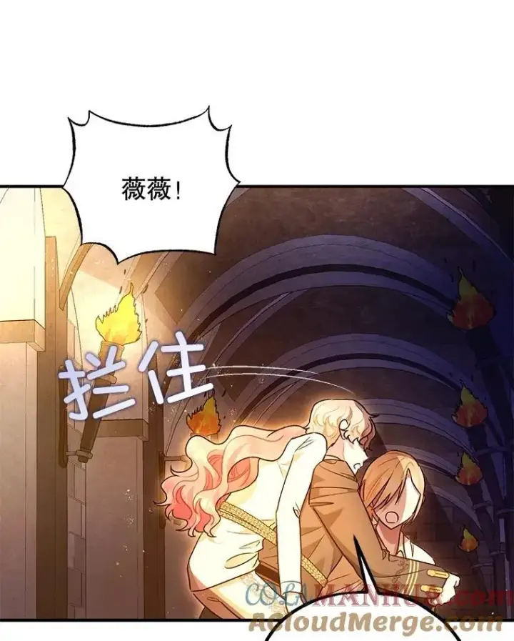 《暴君的精神安定剂》89.重重难关图25