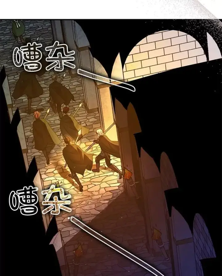 《暴君的精神安定剂》89.重重难关图35