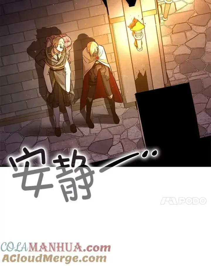 《暴君的精神安定剂》89.重重难关图37