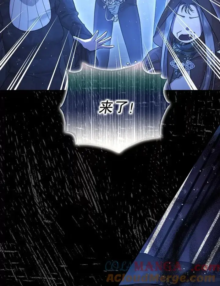 《暴君的精神安定剂》92.正面交锋图33
