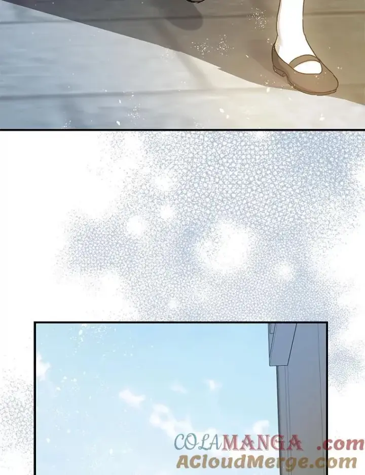 《暴君的精神安定剂》95.正面迎击图13