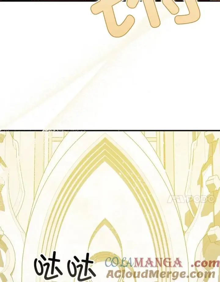 《暴君的精神安定剂》95.正面迎击图81