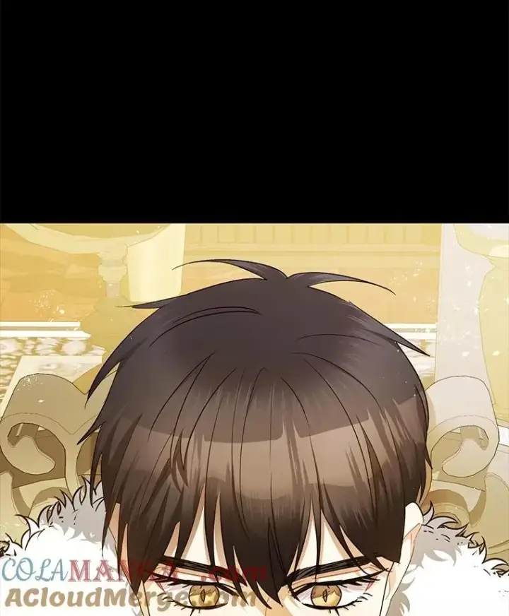 《暴君的精神安定剂》96.对峙图101