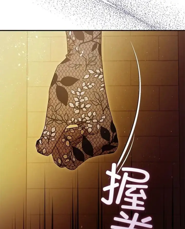 《暴君的精神安定剂》96.对峙图71