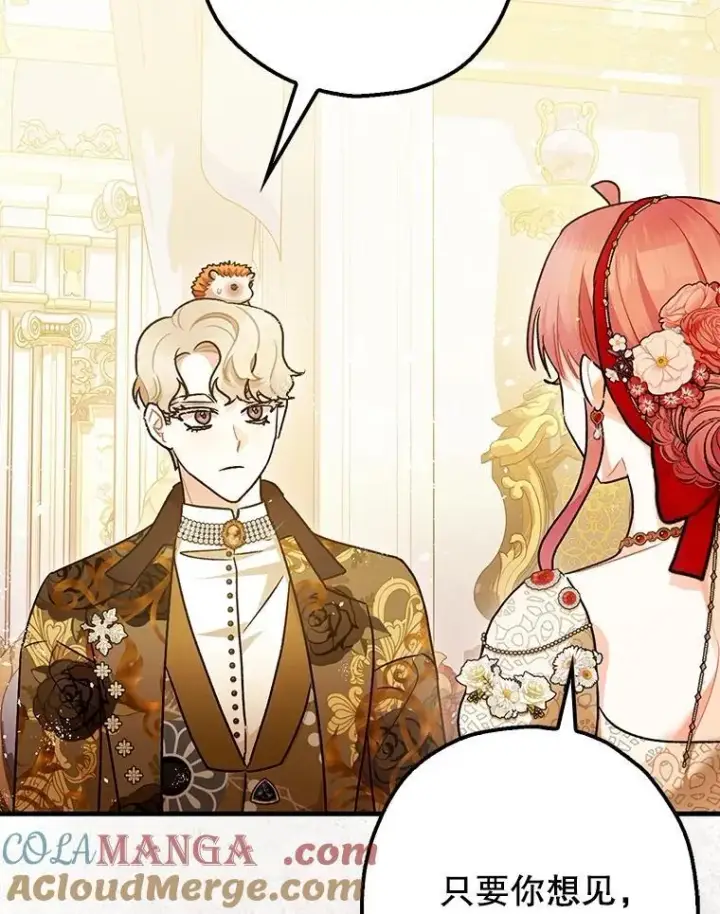 《暴君的精神安定剂》99.营救计划图45