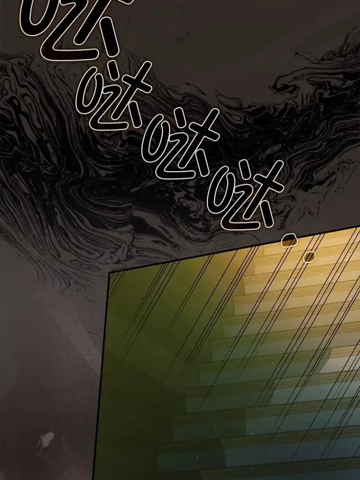《暴君的精神安定剂》101.新的危险图19