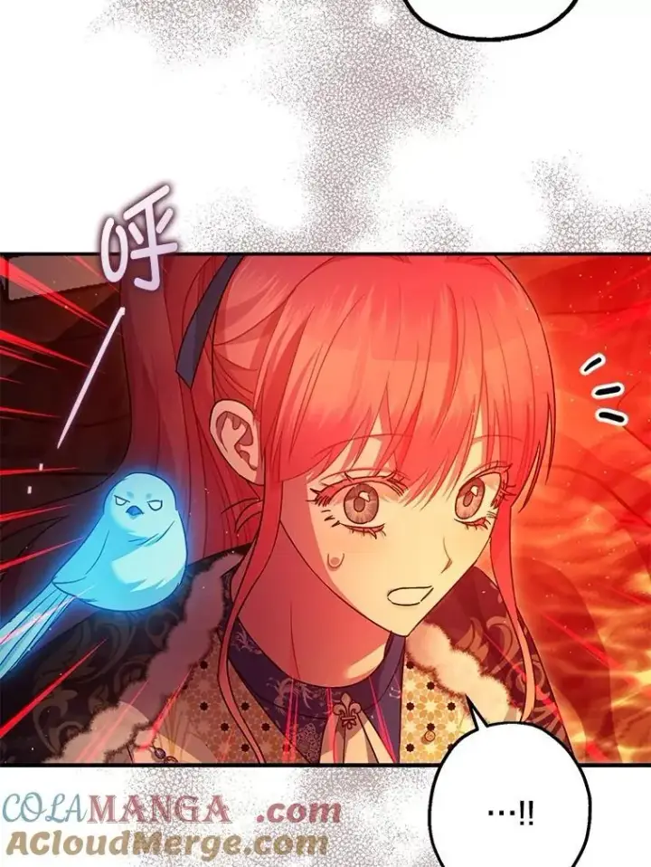 《暴君的精神安定剂》101.新的危险图57