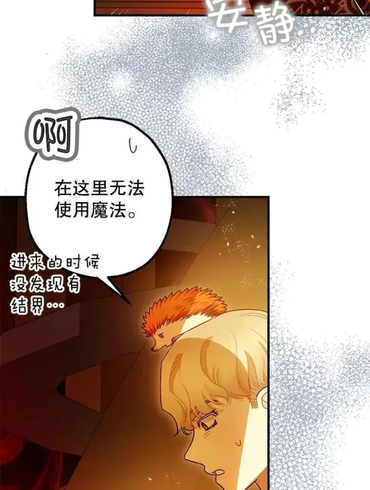 《暴君的精神安定剂》102.制造灾难图104