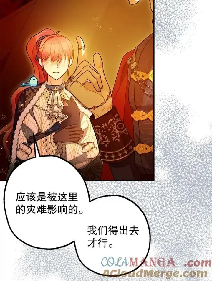 《暴君的精神安定剂》102.制造灾难图105
