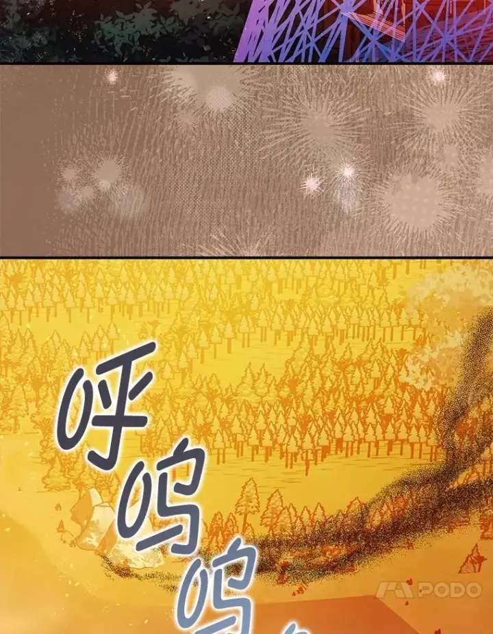 《暴君的精神安定剂》102.制造灾难图20