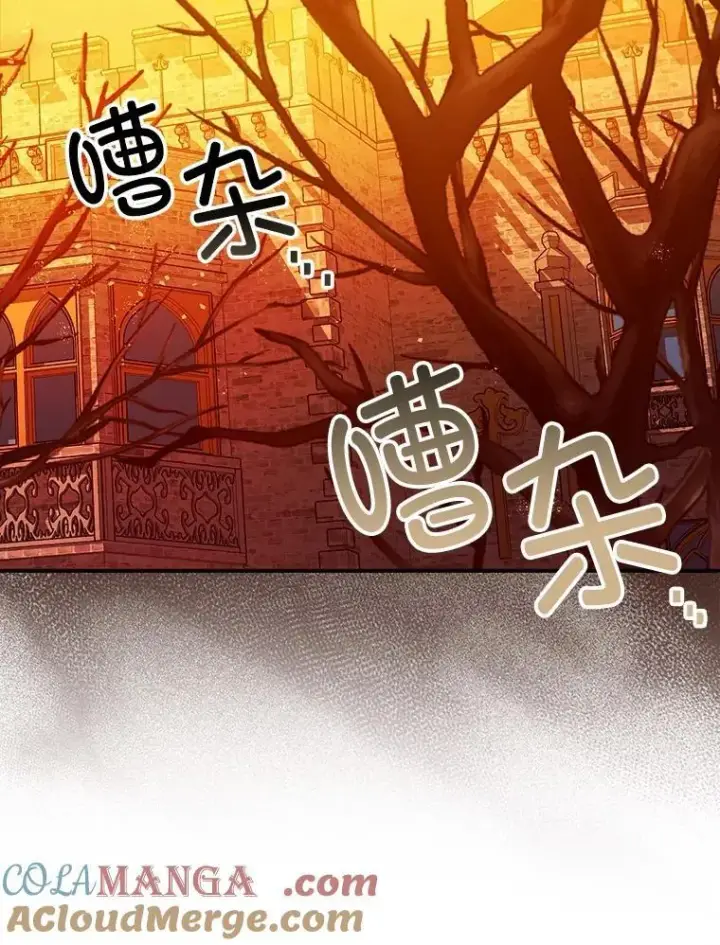 《暴君的精神安定剂》102.制造灾难图45