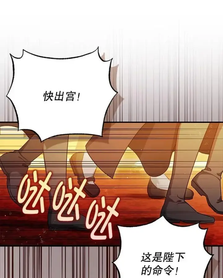 《暴君的精神安定剂》102.制造灾难图46