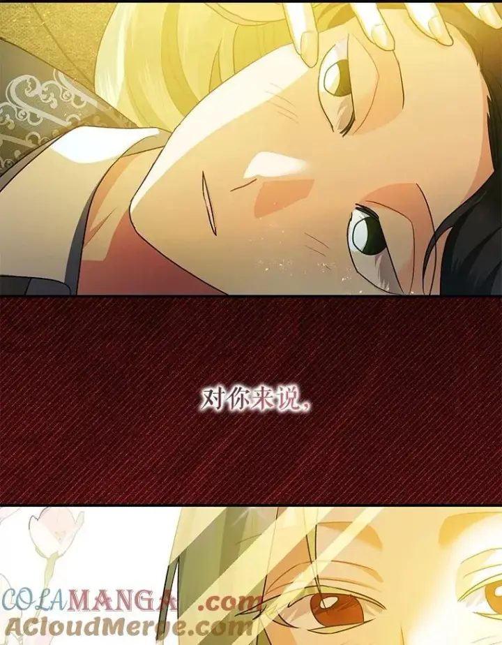《暴君的精神安定剂》102.制造灾难图57