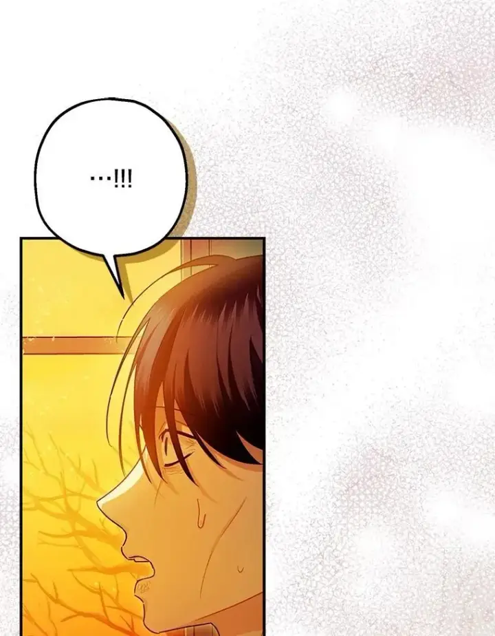 《暴君的精神安定剂》102.制造灾难图66