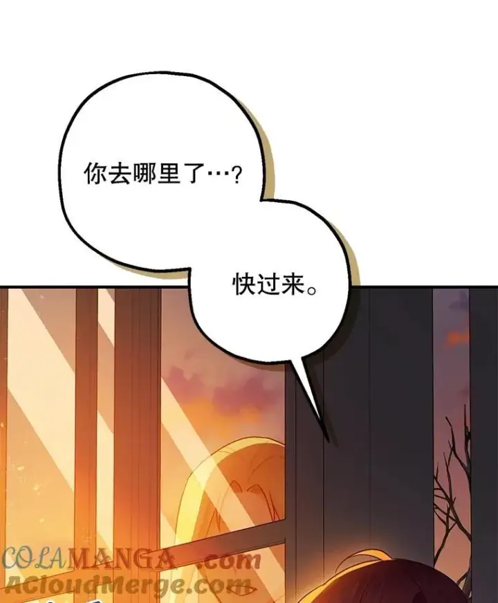 《暴君的精神安定剂》102.制造灾难图69