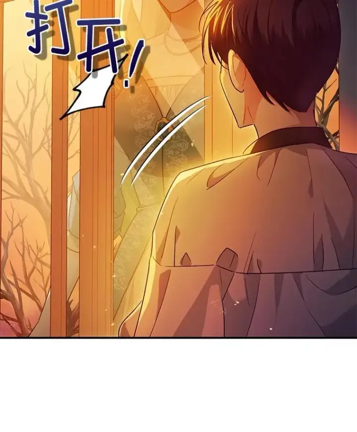 《暴君的精神安定剂》102.制造灾难图70