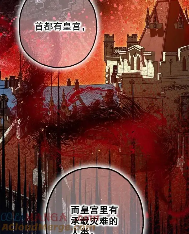 《暴君的精神安定剂》102.制造灾难图97