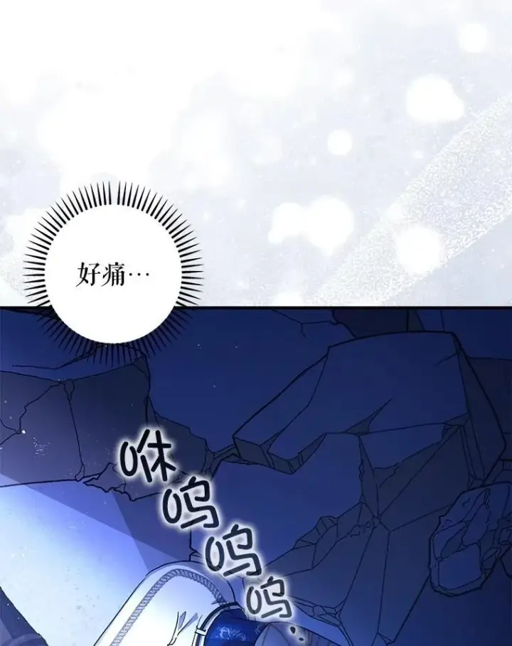 《暴君的精神安定剂》106.我爱你图103