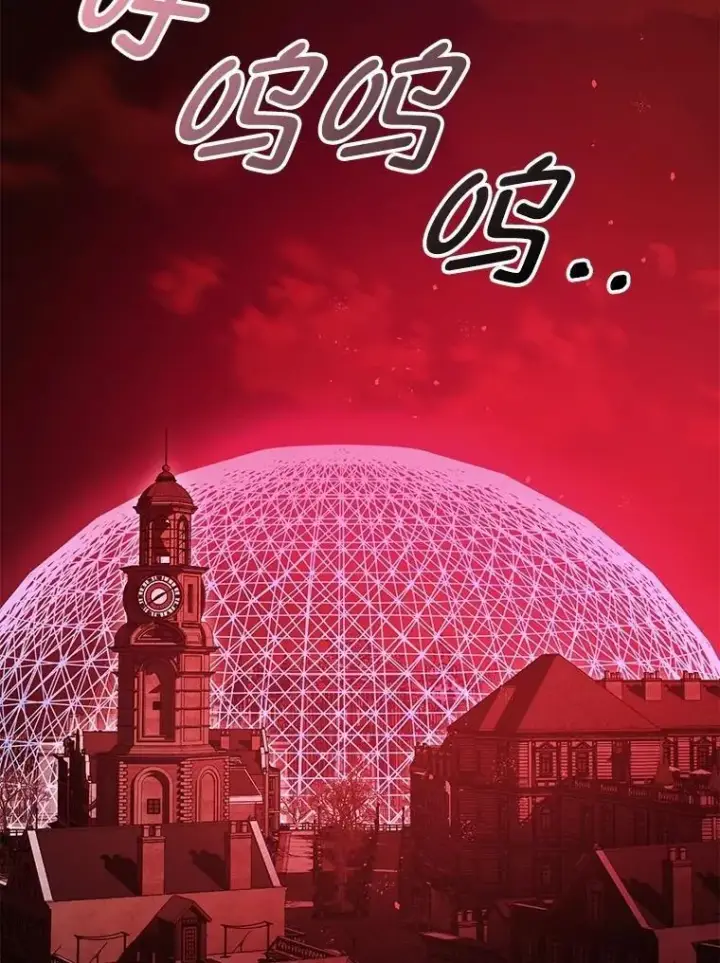《暴君的精神安定剂》108.无法实现的未来图76