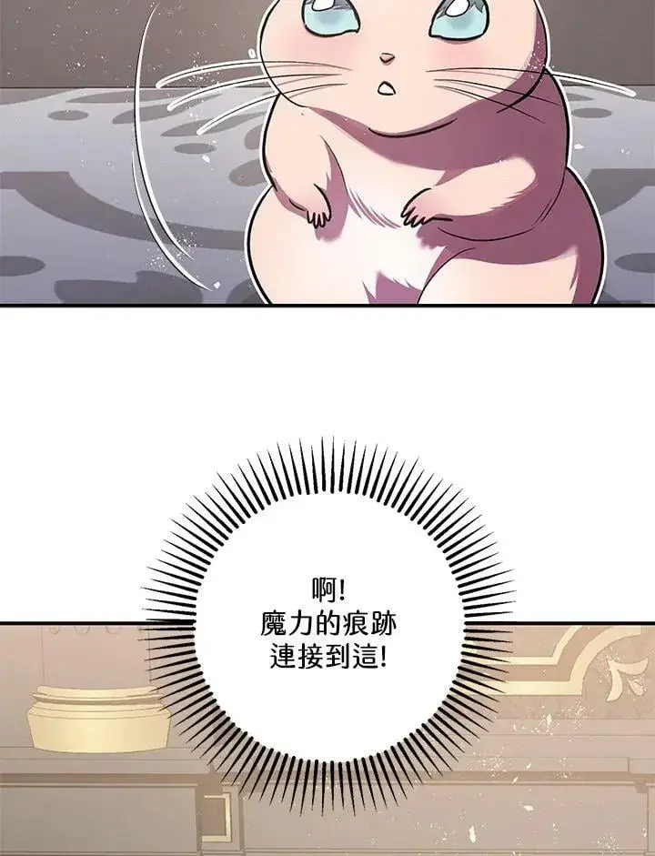《暴君的精神安定剂》第76话图111