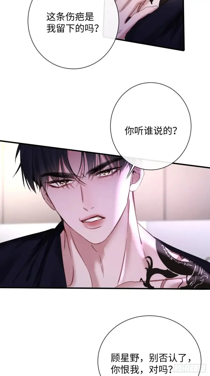 漫画《抱歉，我也是大佬》13第40张图